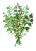 herbs-5161626_1280.webp herbs-5161626_1280.webp